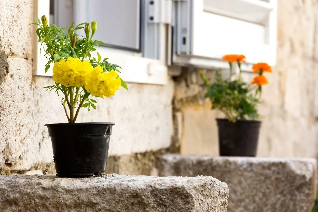 Aida Apartments Downtown Split 0*,  Croatia